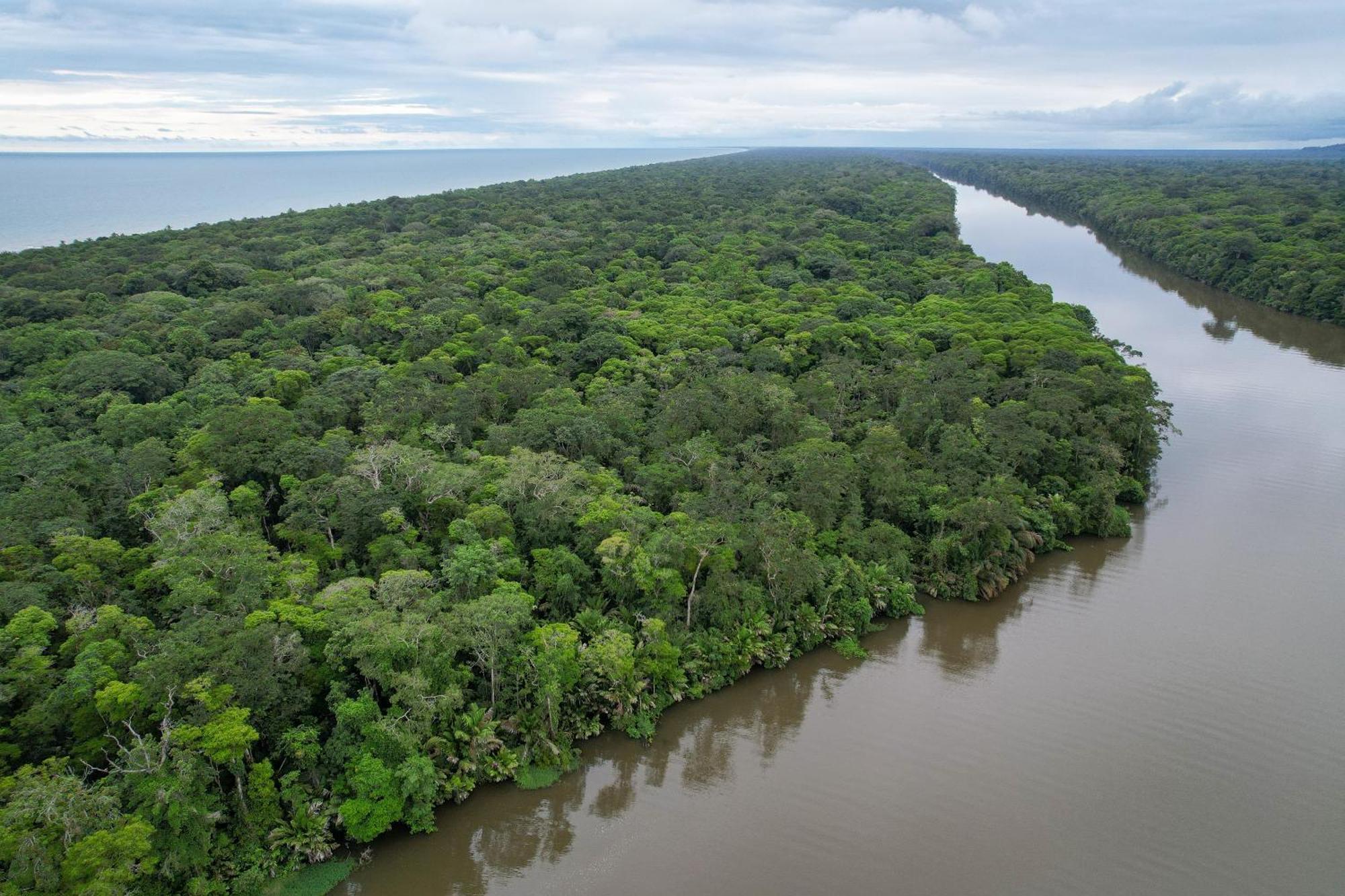 El Deseo Serendipity Tortuguero Exterior photo