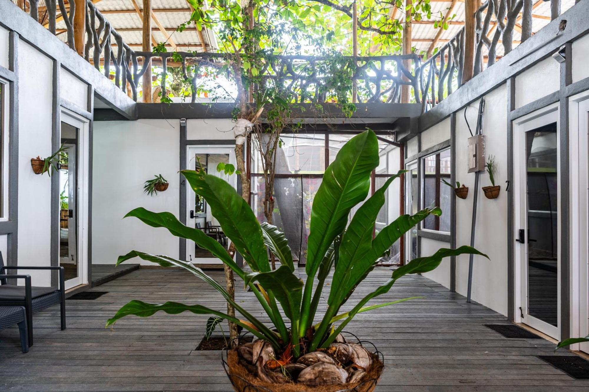 El Deseo Serendipity Tortuguero Exterior photo