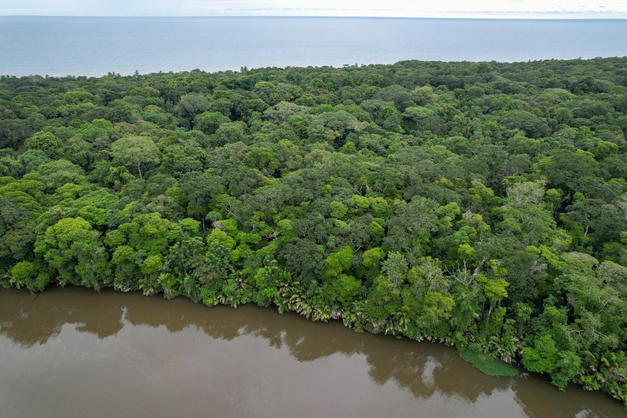 El Deseo Serendipity Tortuguero Exterior photo