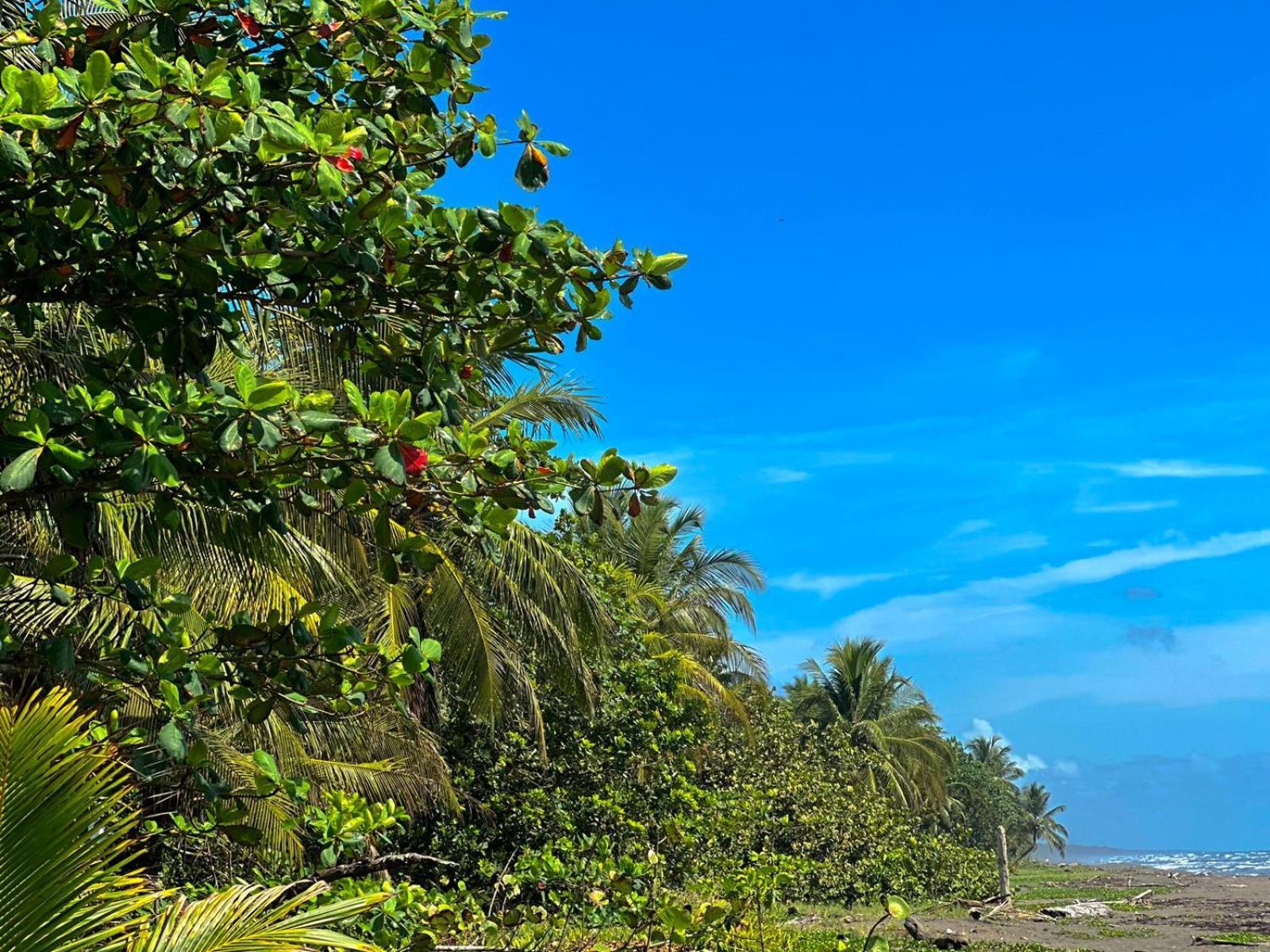 El Deseo Serendipity Tortuguero Exterior photo
